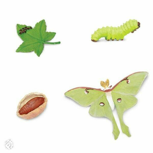 Lunar Moth Caterpillar To Raise