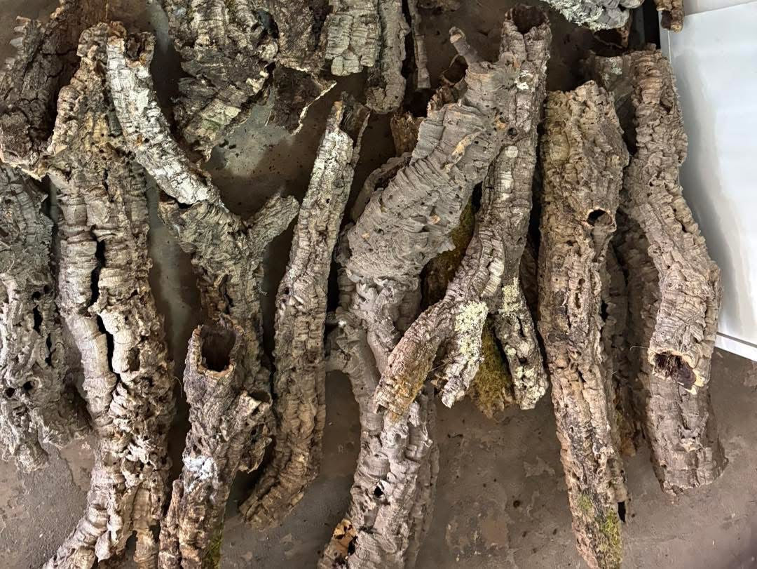 1kg Natural Cork Bark Bundle Decor Enrichment Play Terrariums Enclosures