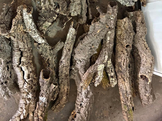 1kg Natural Cork Bark Bundle Decor Enrichment Play Terrariums Enclosures
