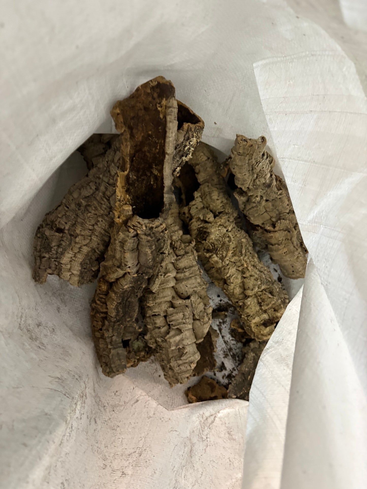 1kg Natural Cork Bark Bundle Decor Enrichment Play Terrariums Enclosures