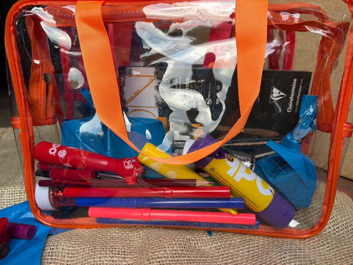 Craft Bag Bundle Carry Case Arts