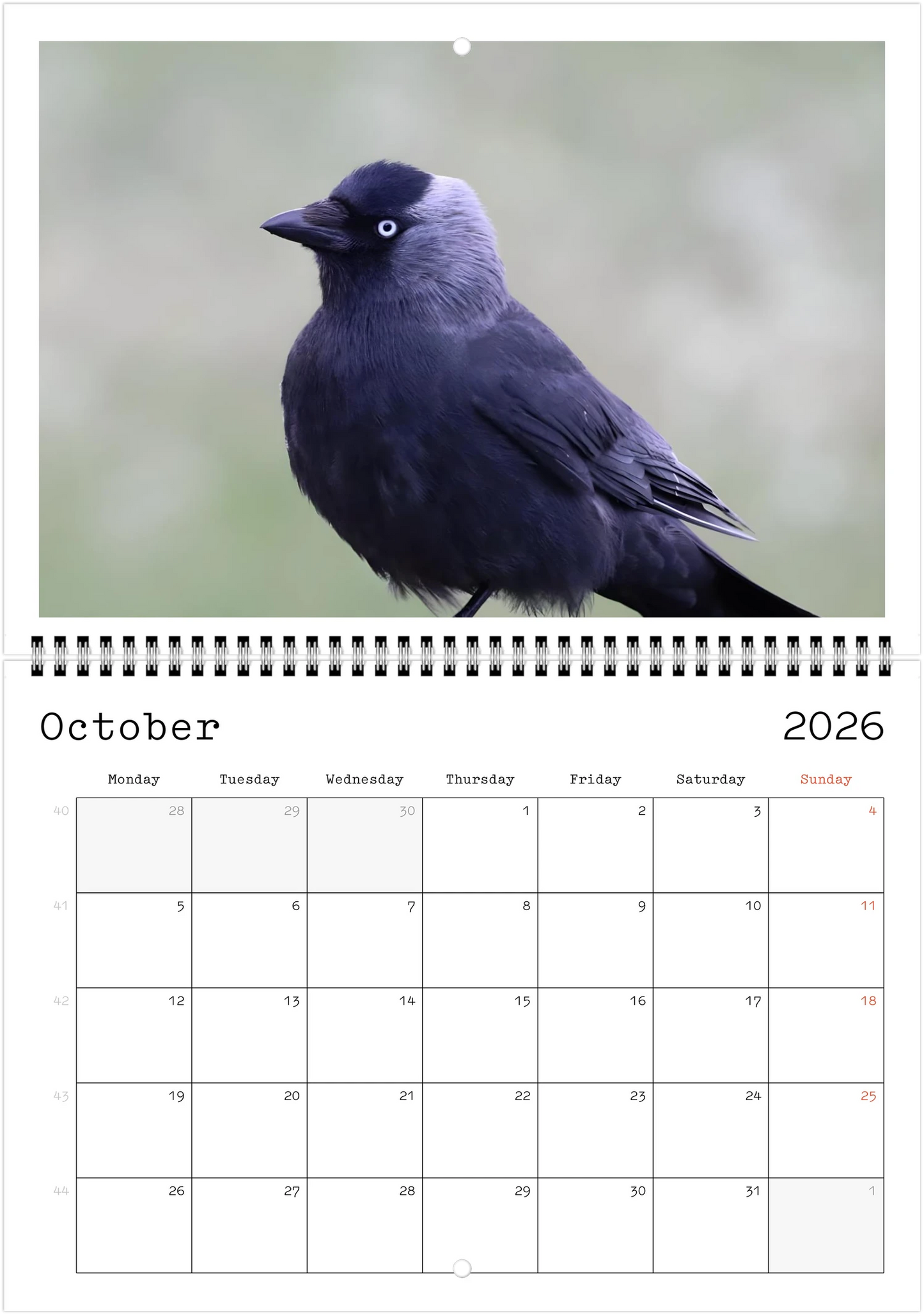 Wildlife A4 (21 x 29.7 cm) - Horizontal - Wire-O binding Wall Calendar