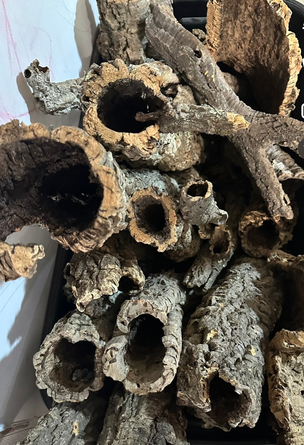 1kg Natural Cork Bark Bundle Decor Enrichment Play Terrariums Enclosures