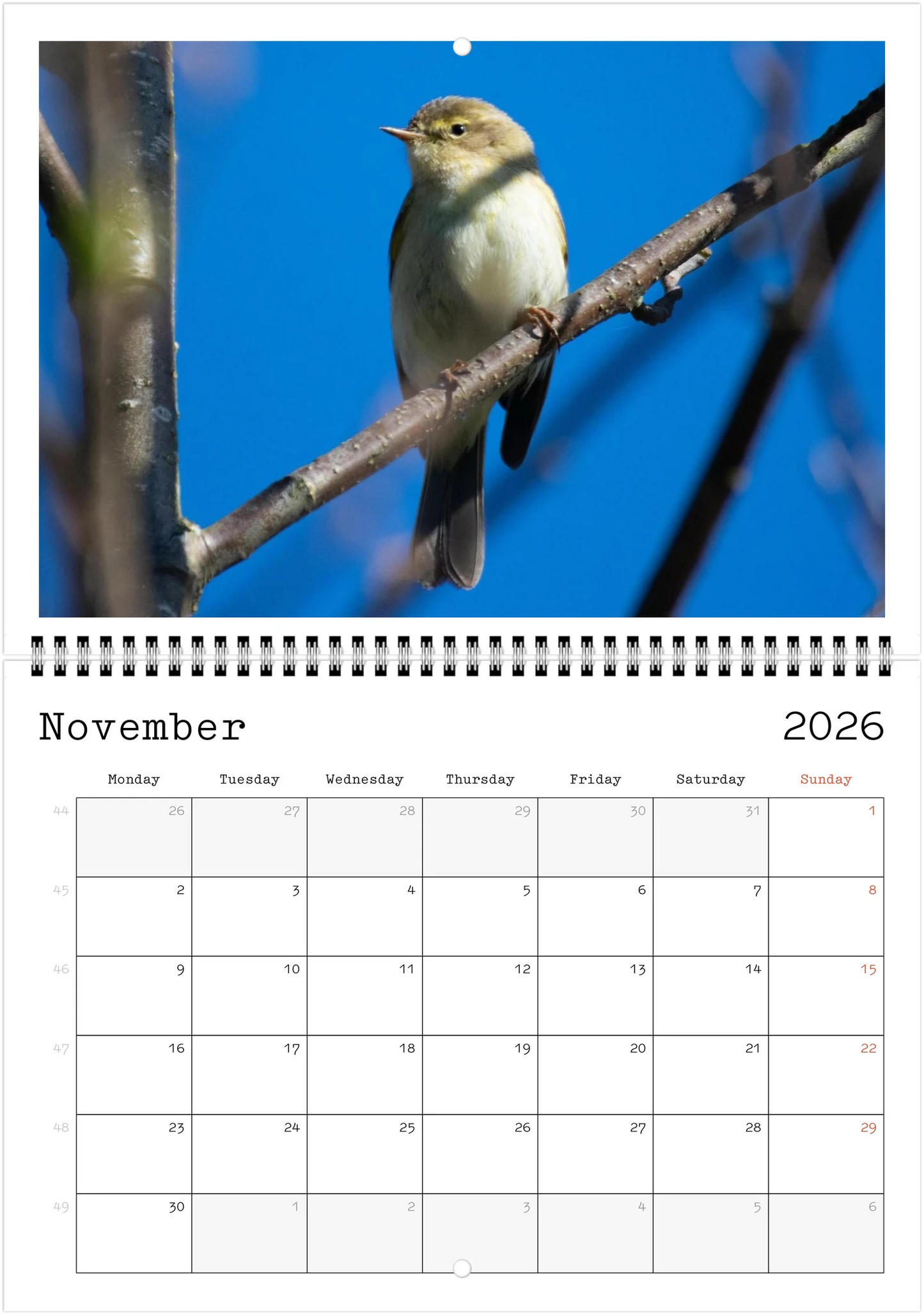 Wildlife A4 (21 x 29.7 cm) - Horizontal - Wire-O binding Wall Calendar