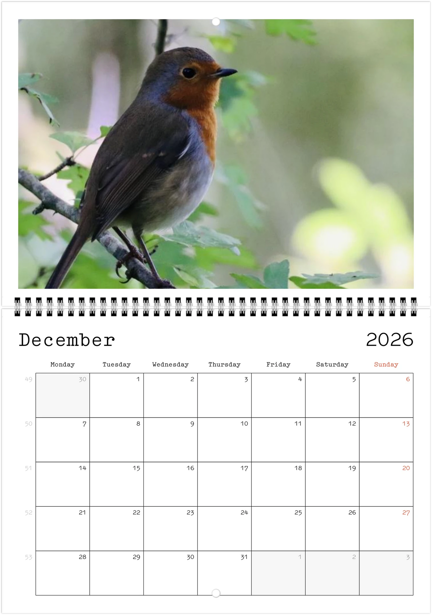 Wildlife A4 (21 x 29.7 cm) - Horizontal - Wire-O binding Wall Calendar