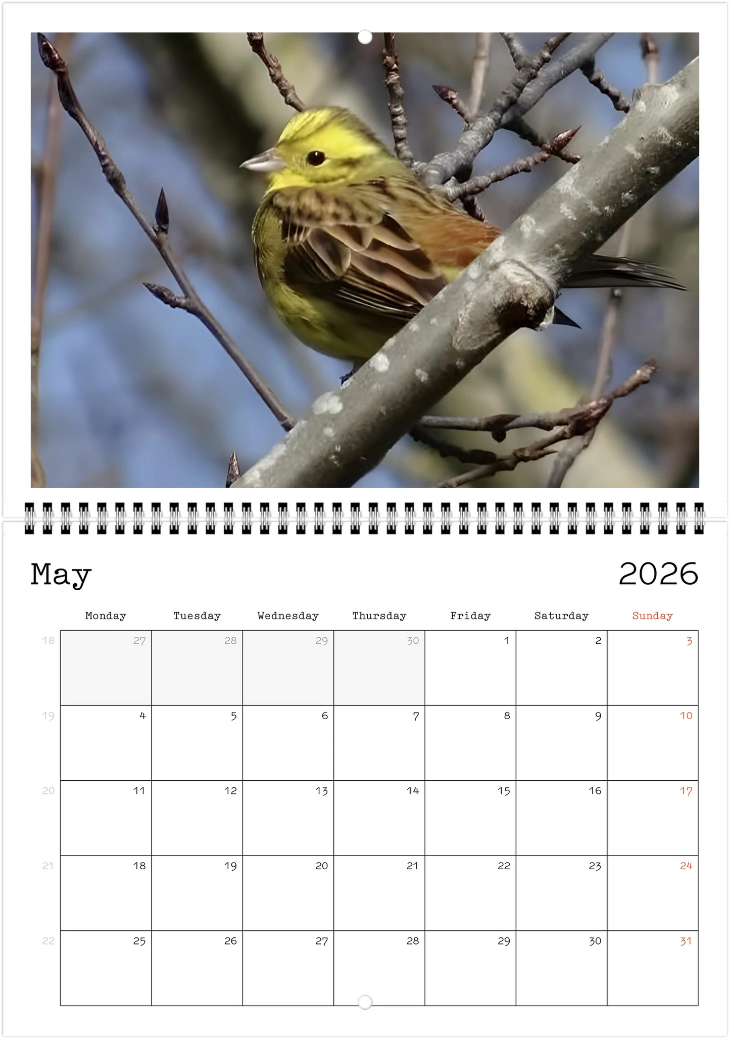 Wildlife A4 (21 x 29.7 cm) - Horizontal - Wire-O binding Wall Calendar
