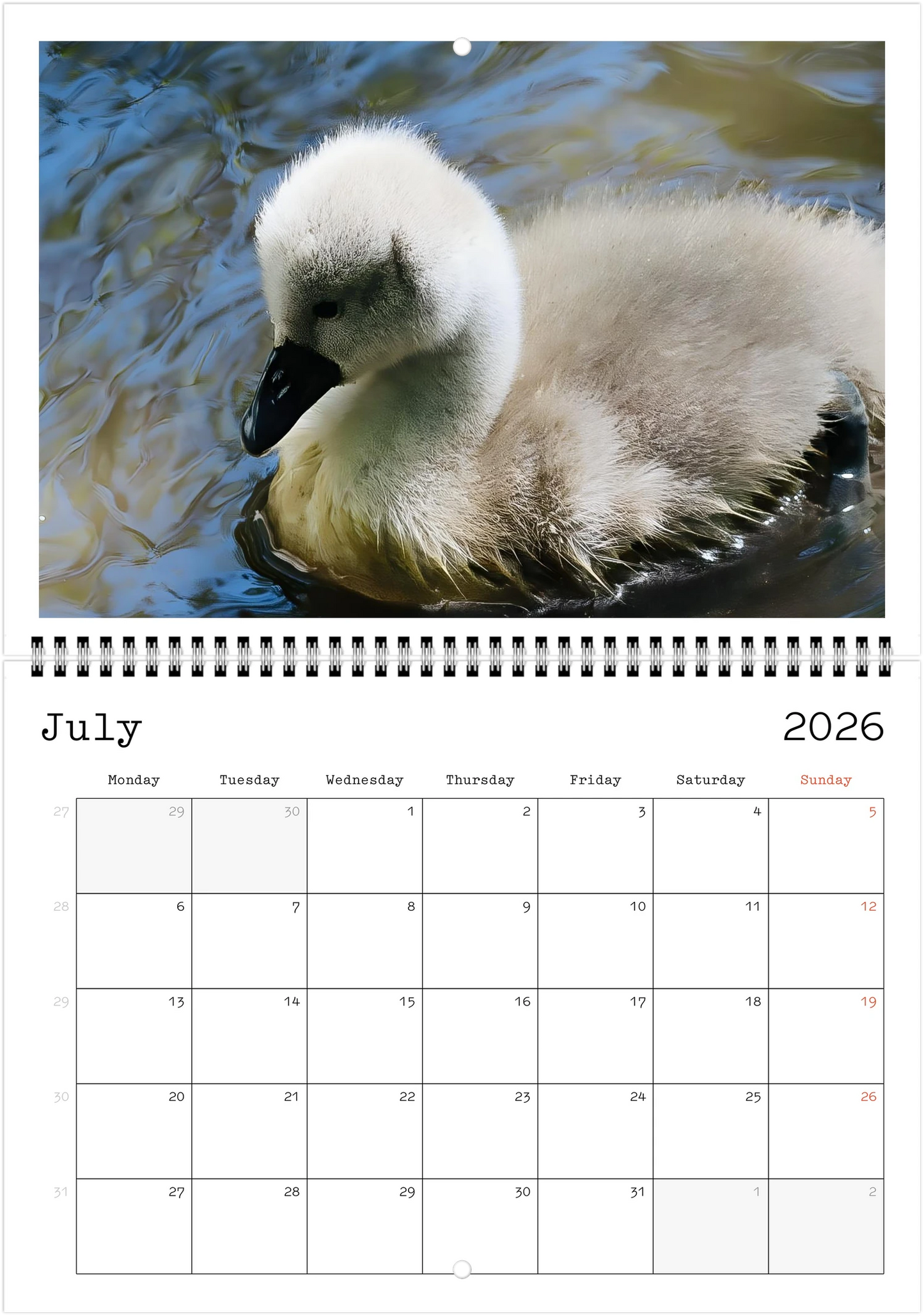 Wildlife A4 (21 x 29.7 cm) - Horizontal - Wire-O binding Wall Calendar