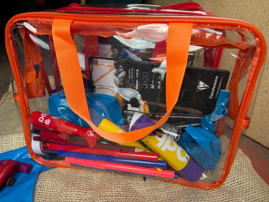 Craft Bag Bundle Carry Case Arts