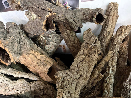 1kg Natural Cork Bark Bundle Decor Enrichment Play Terrariums Enclosures