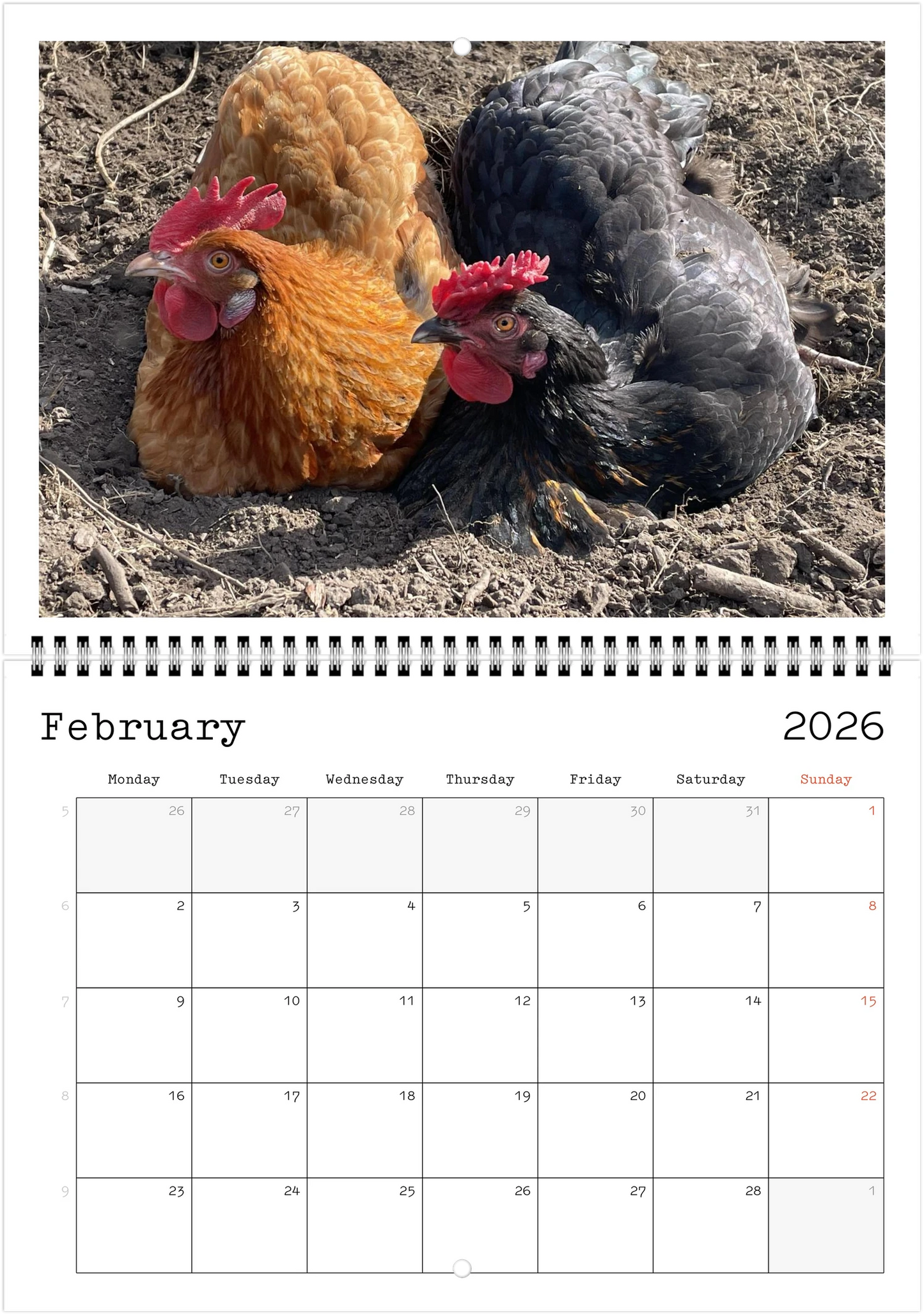 Wildlife A4 (21 x 29.7 cm) - Horizontal - Wire-O binding Wall Calendar