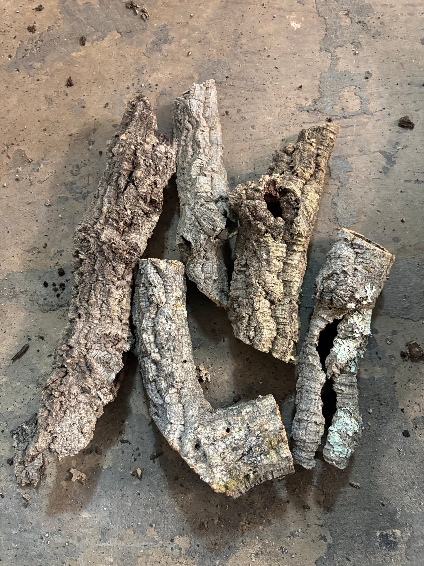 1kg Natural Cork Bark Bundle Decor Enrichment Play Terrariums Enclosures