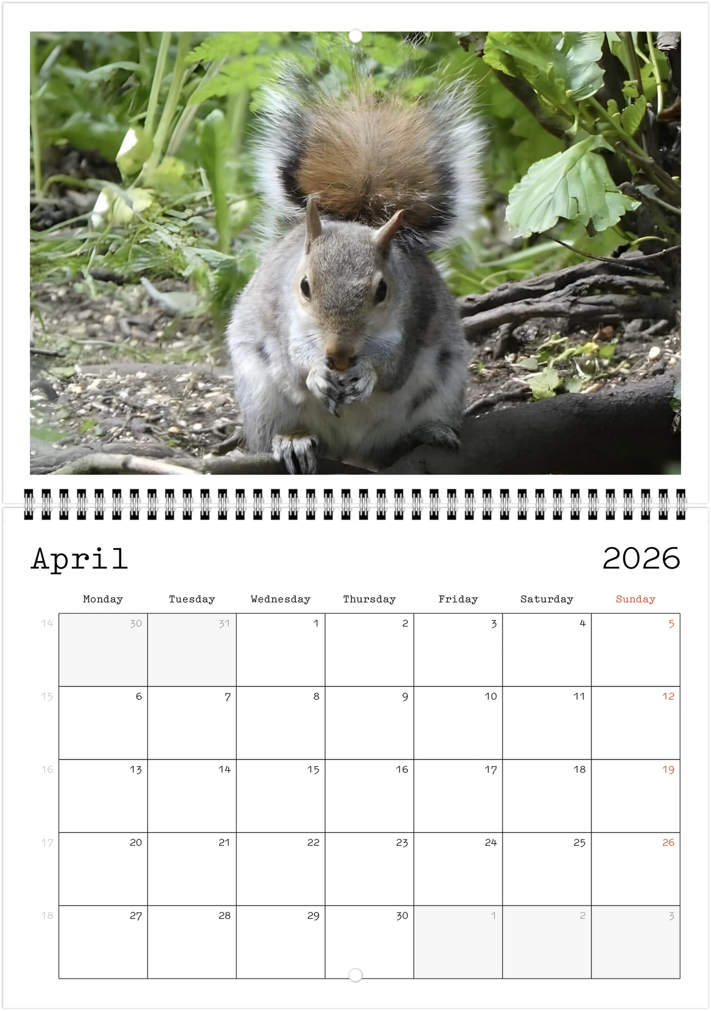 Wildlife A4 (21 x 29.7 cm) - Horizontal - Wire-O binding Wall Calendar