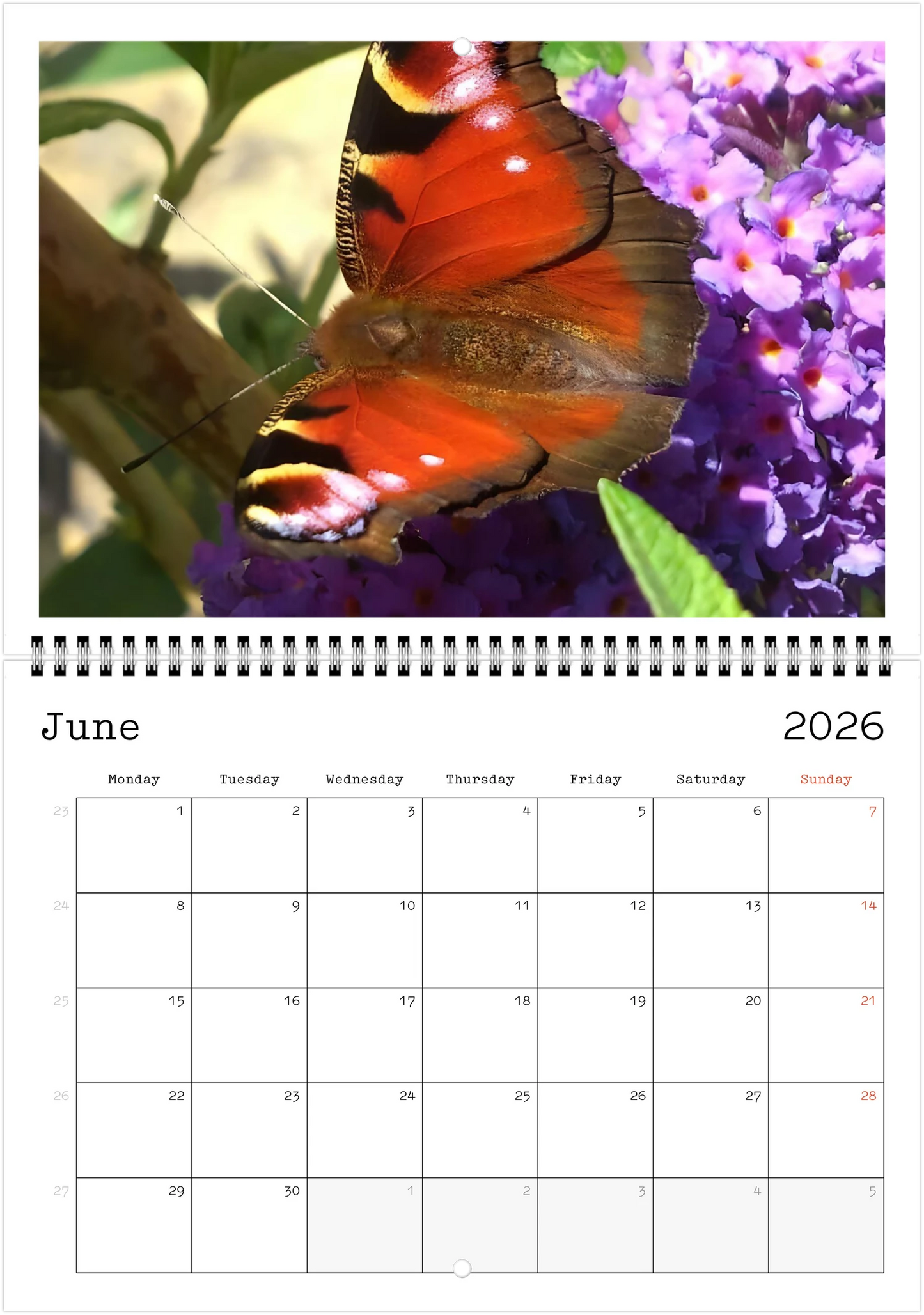Wildlife A4 (21 x 29.7 cm) - Horizontal - Wire-O binding Wall Calendar