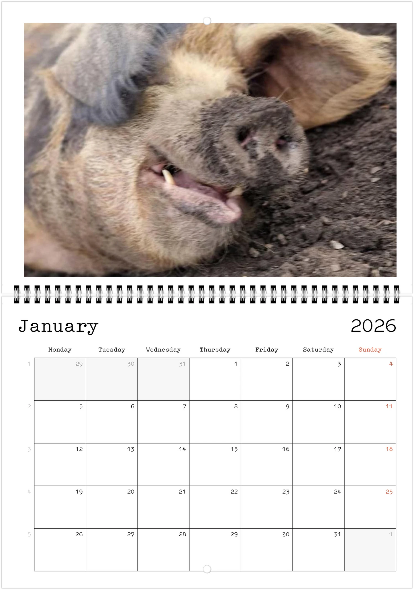 Wildlife A4 (21 x 29.7 cm) - Horizontal - Wire-O binding Wall Calendar