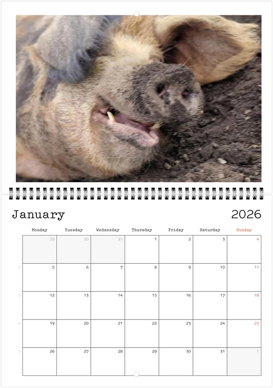 Wildlife A4 (21 x 29.7 cm) - Horizontal - Wire-O binding Wall Calendar