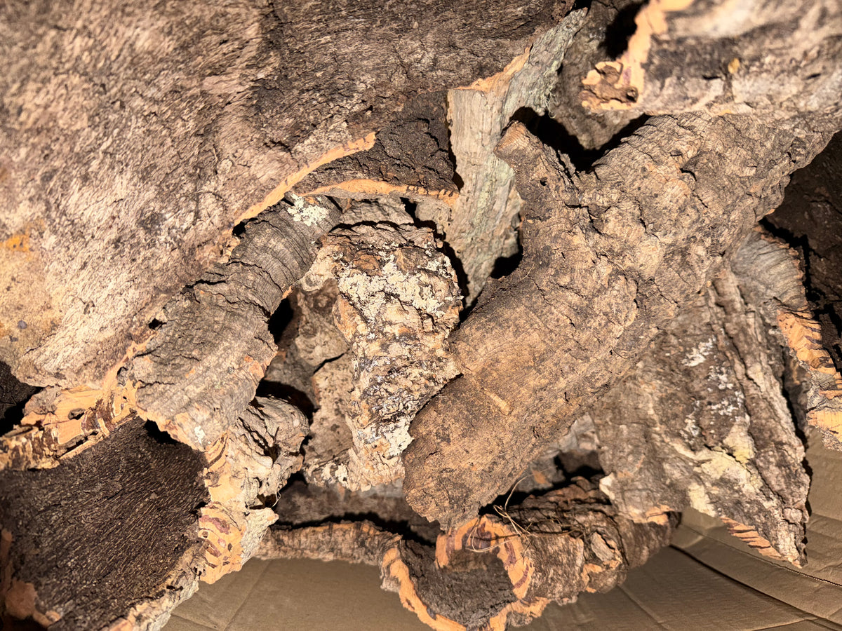 1kg Natural Cork Bark FLATS Bundle Decor Enrichment Play Terrariums Enclosures
