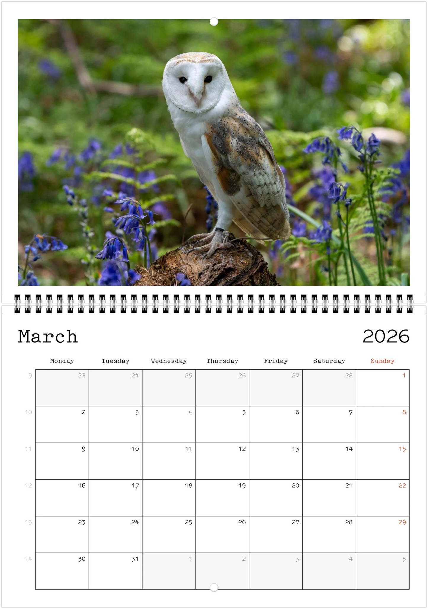 Wildlife A4 (21 x 29.7 cm) - Horizontal - Wire-O binding Wall Calendar
