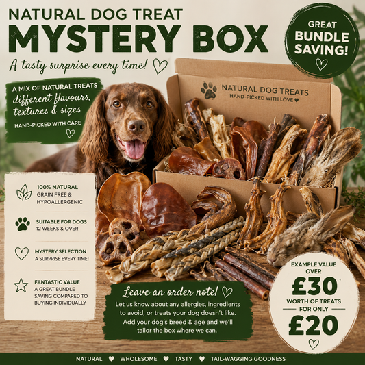 Natural Dog Treat Mystery Box Bundle Bulk Random Selection